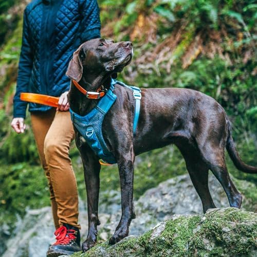 Kurgo Journey Air Dog Harness - Image 5