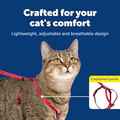 PetSafe Come With Me Kitty Harness and Bungee Leash, Harness - Image 6