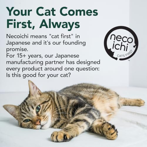 Necoichi Cardboard Cat Scratcher Bed - Image 7