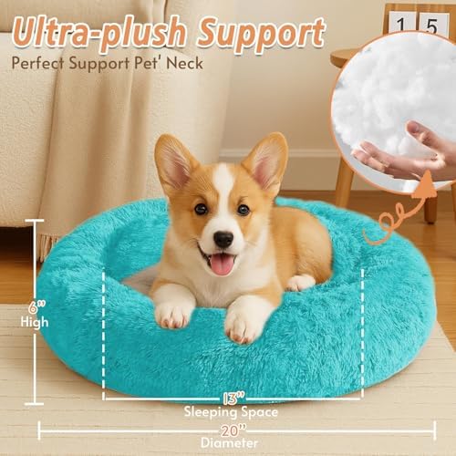 JOLLYVOGUE Calming Small Dog & Cat Bed - Image 5