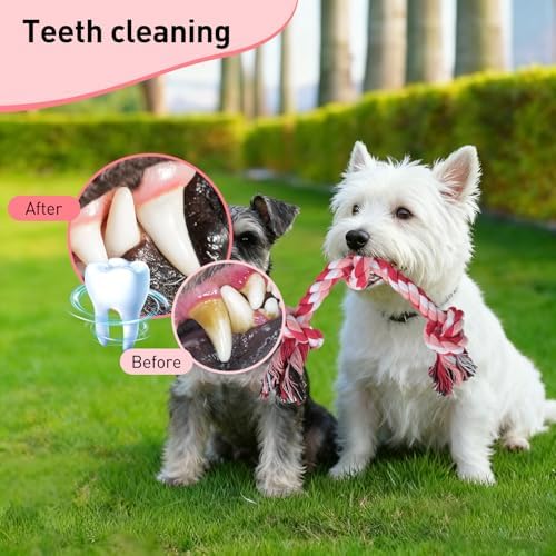 SZEE Dog Rope Toy 2-Pack, Rope Toys - Image 3