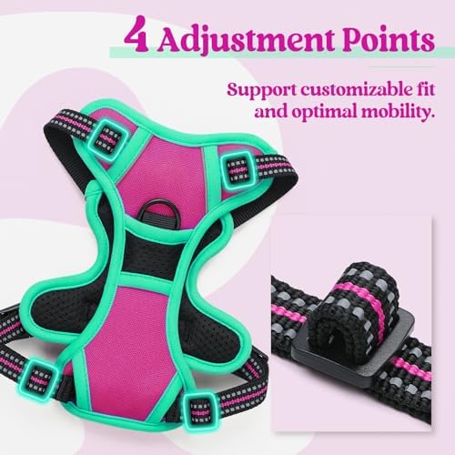 rabbitgoo Dog Harness, No Pull for Small Dogs - Image 4