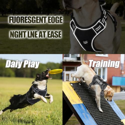 Dog Harness and Leash Set for X-Large Dogs, No Pull Tactical Dog Harness - Image 7