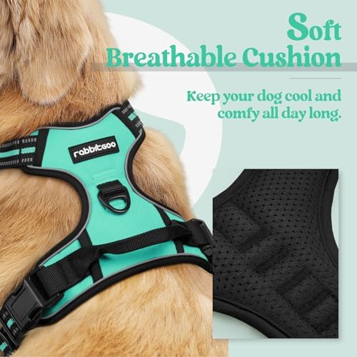 rabbitgoo Dog Harness, No Pull for Small Dogs - Image 2