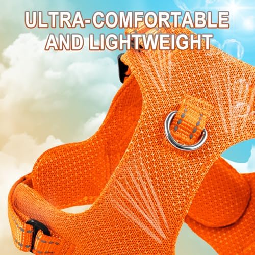 BARKBAY Small Dog Harness, No Pull Puppy Harness, Step-in Dog Vest - Image 2