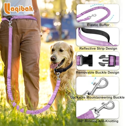 Laqibak Hands Free Dog Leash, Adjustable Waist Leash - Image 6