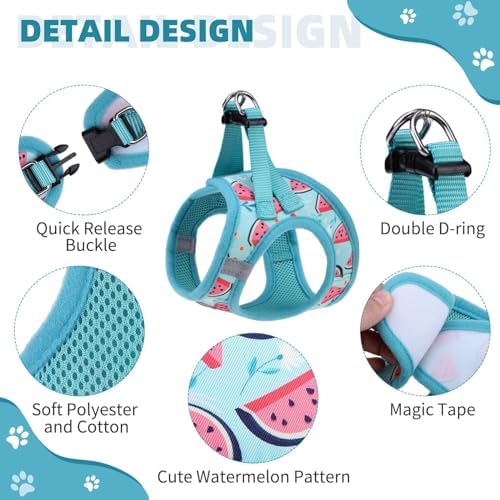 KOOLTAIL Dog Harness and Leash Set - Image 2