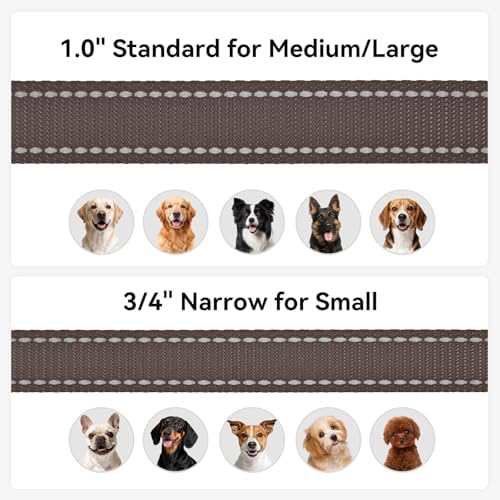 Joytale Reflective Dog Leash for Small Dogs, 6 FT x 3/4" - Image 6