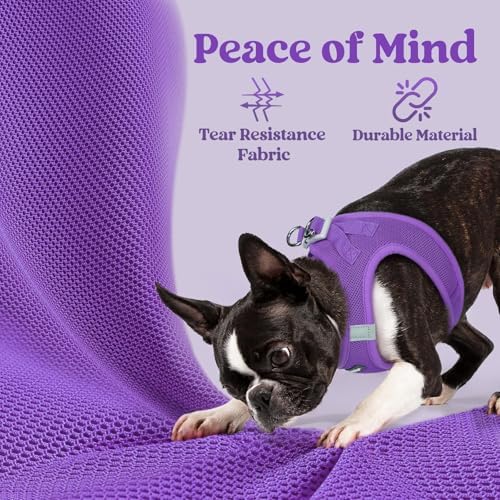 rabbitgoo Step-in Small Dog Harness, Puppy Vest - Image 6