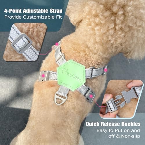 Pawaboo Small Dog Harness and Leash Set, Puppy Harness X-Frame Adjustable - Image 4