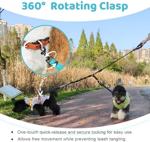Double Dog Leash - Image 4