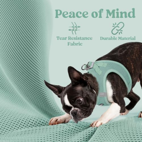 rabbitgoo Step-in Small Dog Harness, Puppy Vest - Image 7