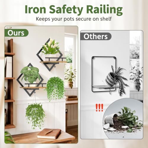 LASZOLA Plant Picture Frame Holder Shelf Wall Window Indoor - Image 3