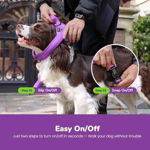 Didog No Pull Dog Harness for Small Dogs, Breathable Mesh Padded - Image 4