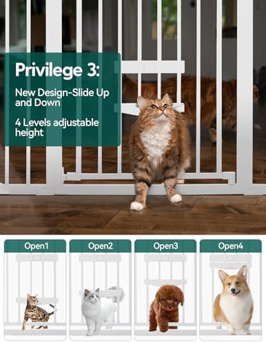 Babelio 36" Tall Dog Gate with Cat Door, CatPrivilege II - Image 3