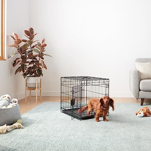 Amazon Basics Portable, Foldable Metal Wire Small Dog Crate - Image 5