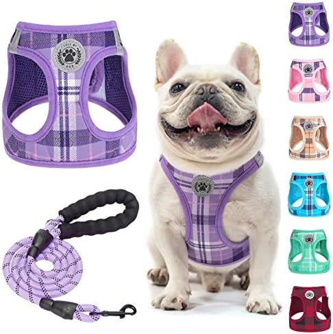 BEAUTYZOO Dog Harness Medium Sized and Leash Set, No Pull Pet Vest -Purple M by BEAUTYZOO