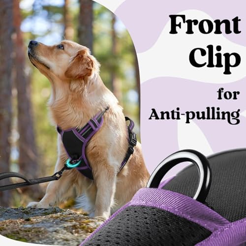 rabbitgoo Dog Harness Small Sized, Updated Easy On & Off - Image 6