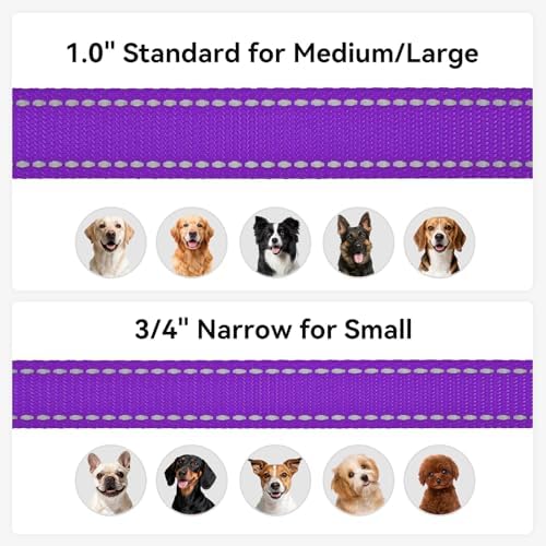 Joytale Reflective Dog Leash for Medium & Large Dogs, 5 FT x 1" - Image 6