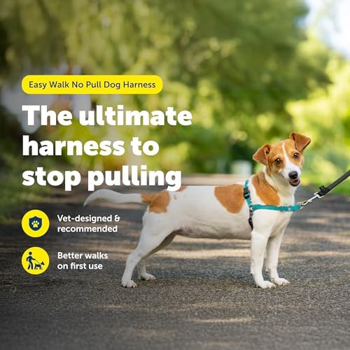 PetSafe Easy Walk Harness, No Pull Dog Harness - Image 2