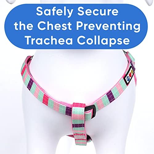 Pawtitas Multicolor Step-in Dog Harness – Adjustable No-Pull Vest - Image 4