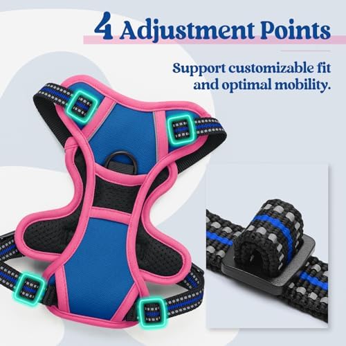 rabbitgoo Dog Harness, No Pull for Small Dogs - Image 4
