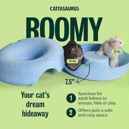 Cattasaurus Peekaboo Cat Cave Donut - Image 4