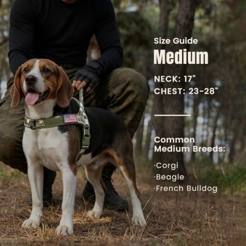 Forestpaw No Pull Dog Harness - Image 4