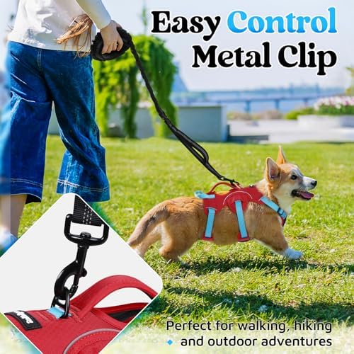 rabbitgoo Escape Proof Dog Harness - Image 4