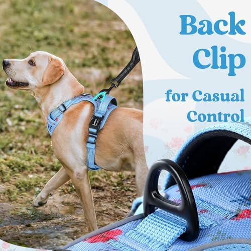 rabbitgoo Dog Harness for Large, Updated Easy On & Off - Image 5