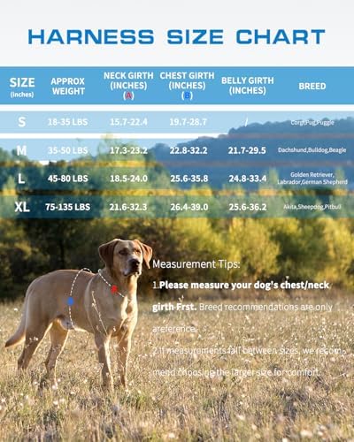 Dog Harness for Large Dogs, No Pull Tactical Vest - Image 6