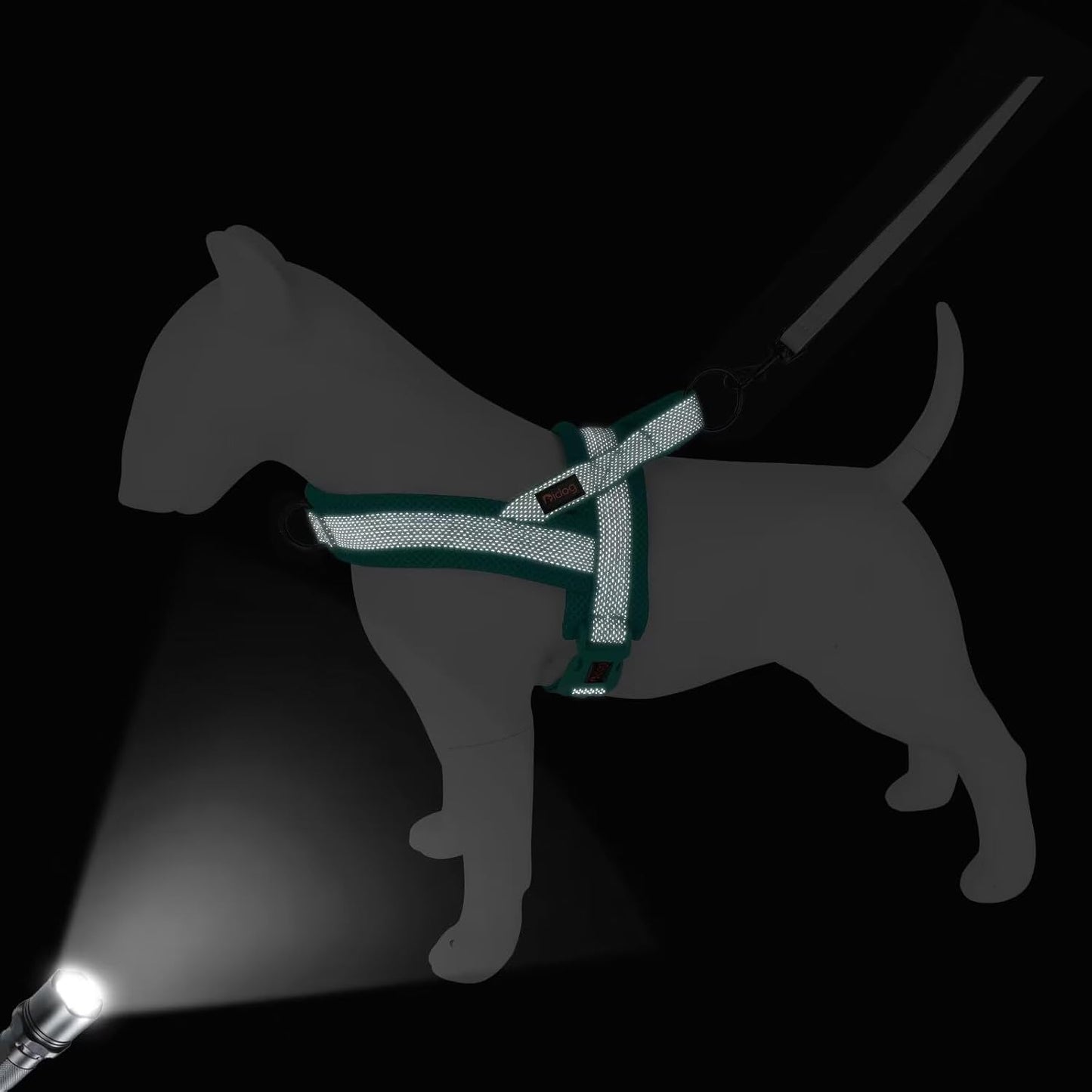 Didog No Pull Dog Harness with Breathable Mesh Padded, Full Reflective & Quick Fit Adjustable Vest Harness, Easy for Training Walking for Small & Medium and Large Dogs (Green, S:Chest 18-22")