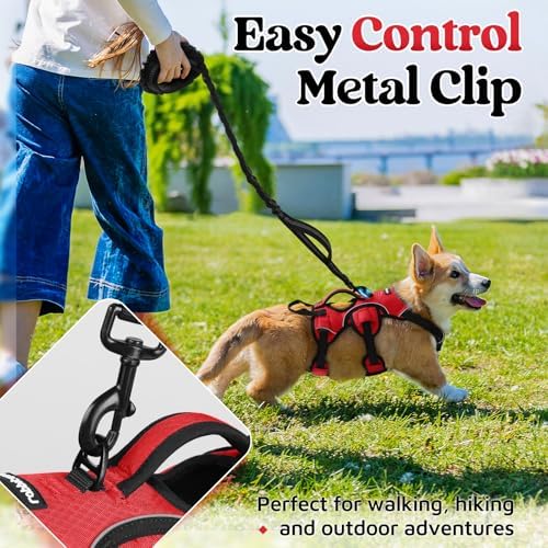 rabbitgoo Escape Proof Dog Harness - Image 5