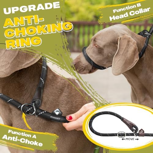 Fida Slip Lead Dog Leash 5 Pack, 6 FT x 1/2" Dog Training Leash - Image 3