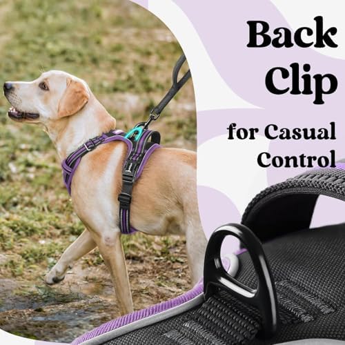 rabbitgoo Dog Harness Small Sized, Updated Easy On & Off - Image 5