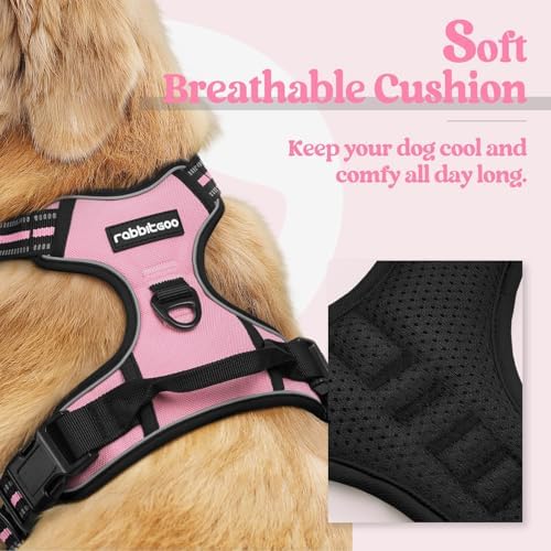 rabbitgoo Dog Harness, No Pull for Small Dogs - Image 2