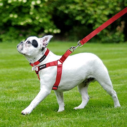 No Pull Dog Harness, Leash & Collar Set, Adjustable Step-in Vest - Image 5