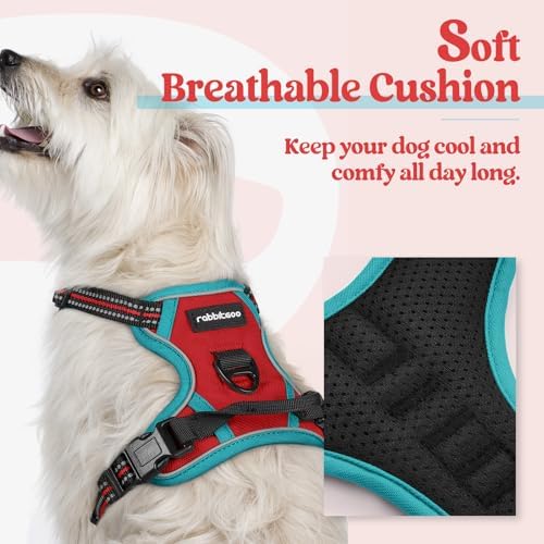 rabbitgoo Dog Harness, No Pull for Small Dogs - Image 2
