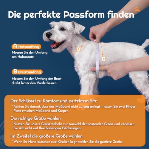 Eagloo Small Dog Harness and Leash Set, Step in Medium Small Puppy Pet Vest - Image 2