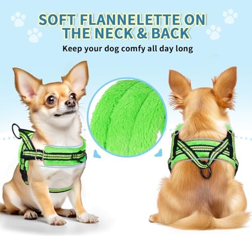 Lukovee Soft Padded Small Dog Harness - Image 5