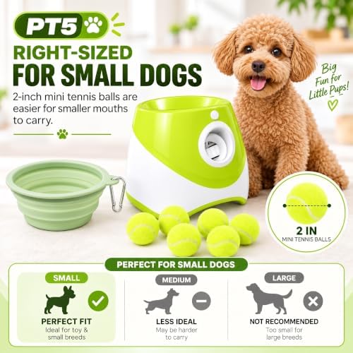 PT5 Automatic Dog Ball Launcher - Image 4