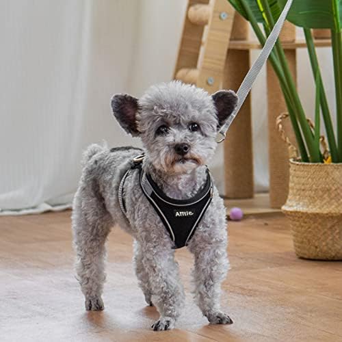 AIITLE Small Dog Harness and Leash Set, Step-in Puppy Pet Vest - Image 3