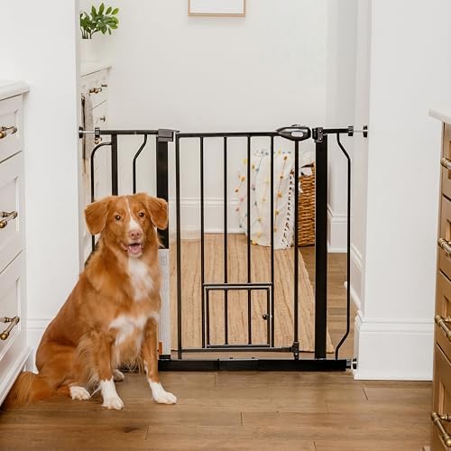 Carlson 29–36.5” Extra Wide Dog Gate by Carlson%C2%AEPetProducts