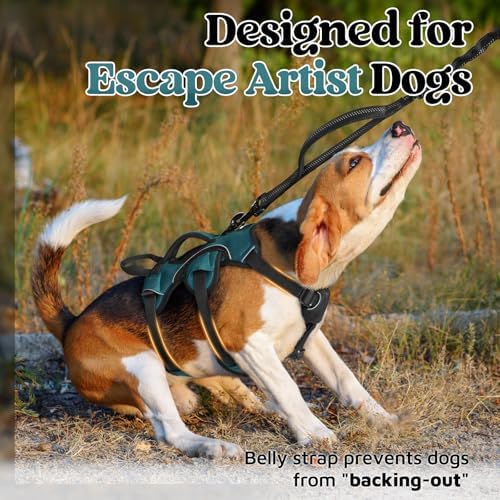 rabbitgoo Escape Proof Dog Harness - Image 2