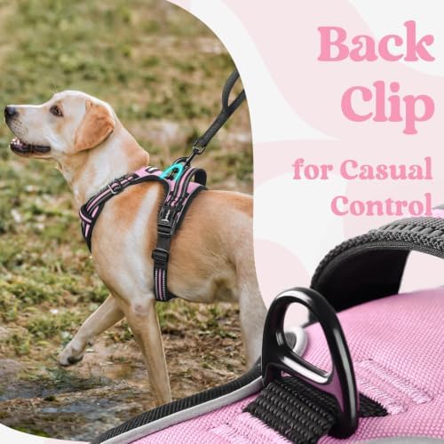 rabbitgoo Dog Harness Medium Sized, Updated Easy On & Off - Image 6