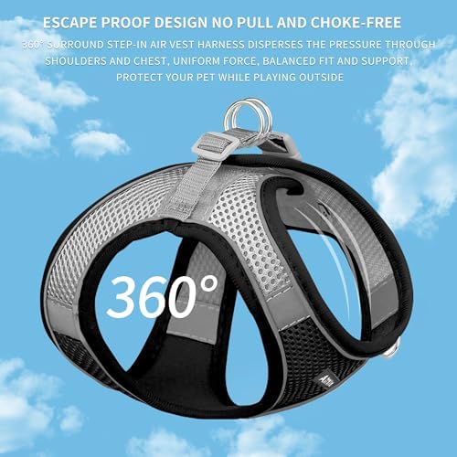 AIITLE Medium Dog Harness and Leash Set, Step-in Puppy Pet Vest - Image 5