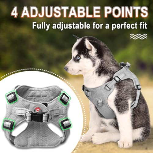 BARKBAY Small Dog Harness, No Pull Puppy Harness, Step-in Dog Vest - Image 3