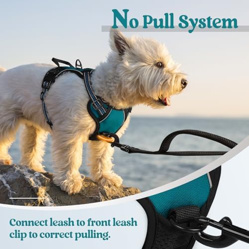 rabbitgoo Dog Harness, No Pull for Small Dogs - Image 5