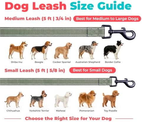 Best Pet Supplies Voyager Nylon Dog Leash - Image 6