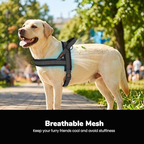 Didog No Pull Dog Harness for Large Dogs, Breathable Mesh Padded - Image 2